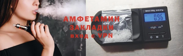 прущие грибы Приозерск