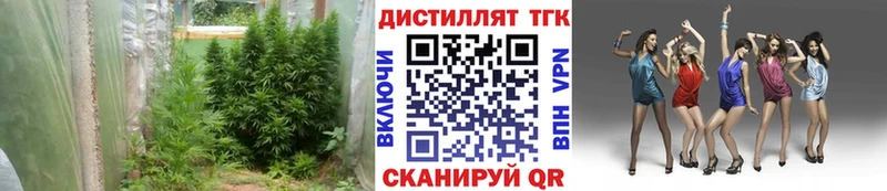 что такое наркотик  Грязи  маркетплейс наркотические препараты  Дистиллят ТГК гашишное масло 