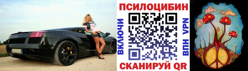 mega зеркало  Грязи  Галлюциногенные грибы ЛСД 